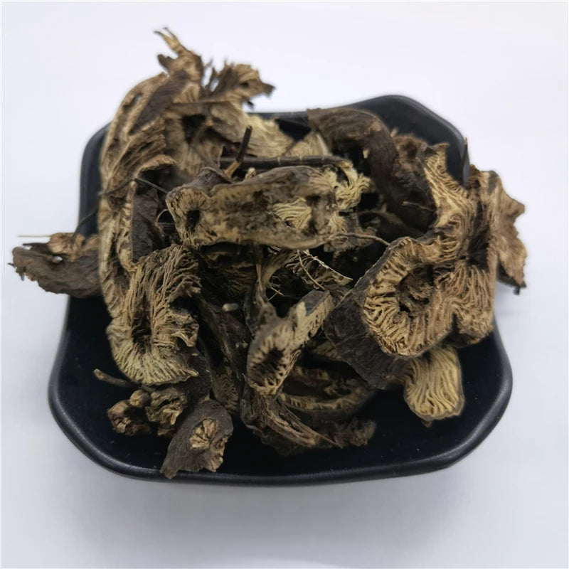 Sheng Ma 100% Natural Organic Chinese Herb Dried Black Cohosh Roots Cimicifuga Foetida