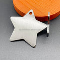 Stainless Steel Star Shape Pendant Tags PET ID Tag Key Chain Blanks