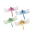 HOT RTS 6/8.5/12/14 cm Simulated Dragonfly 3D Three-dimensional Magnetic or Pin Refrigerator Magnet Simulated Insect Dragonfly