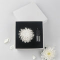 Luxury Gift Scented Ceramic Aroma Plaster Air Freshener Handmade Porcelain Flower Home Fragrance Essential Oil Reed Diffuser