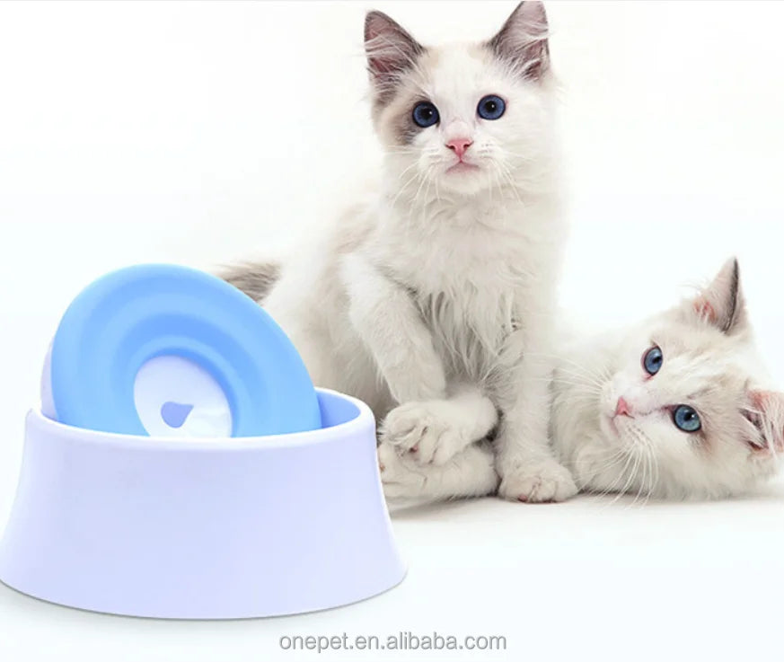 Durable PP Material Cat Dog Drinking Water Fountain with Floating Slow Drinking Spill Prevention for Travel Use