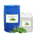 Wholesale Price Cold Pressed Refined Bulk 100% Pure Natural Borage Seed Oil