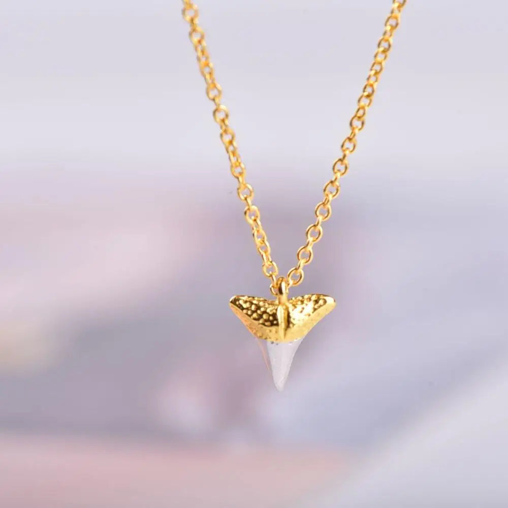 GT  Newest Fashion Sterling Silver Shark Tooth Necklace