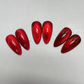 KNC New Red Ruby Diamond Cat Eye Gel Polish 6 Colors Set 1 kg Cat Eye Gel Nail Polish OEM Bottle Private Label Gel Free Sample