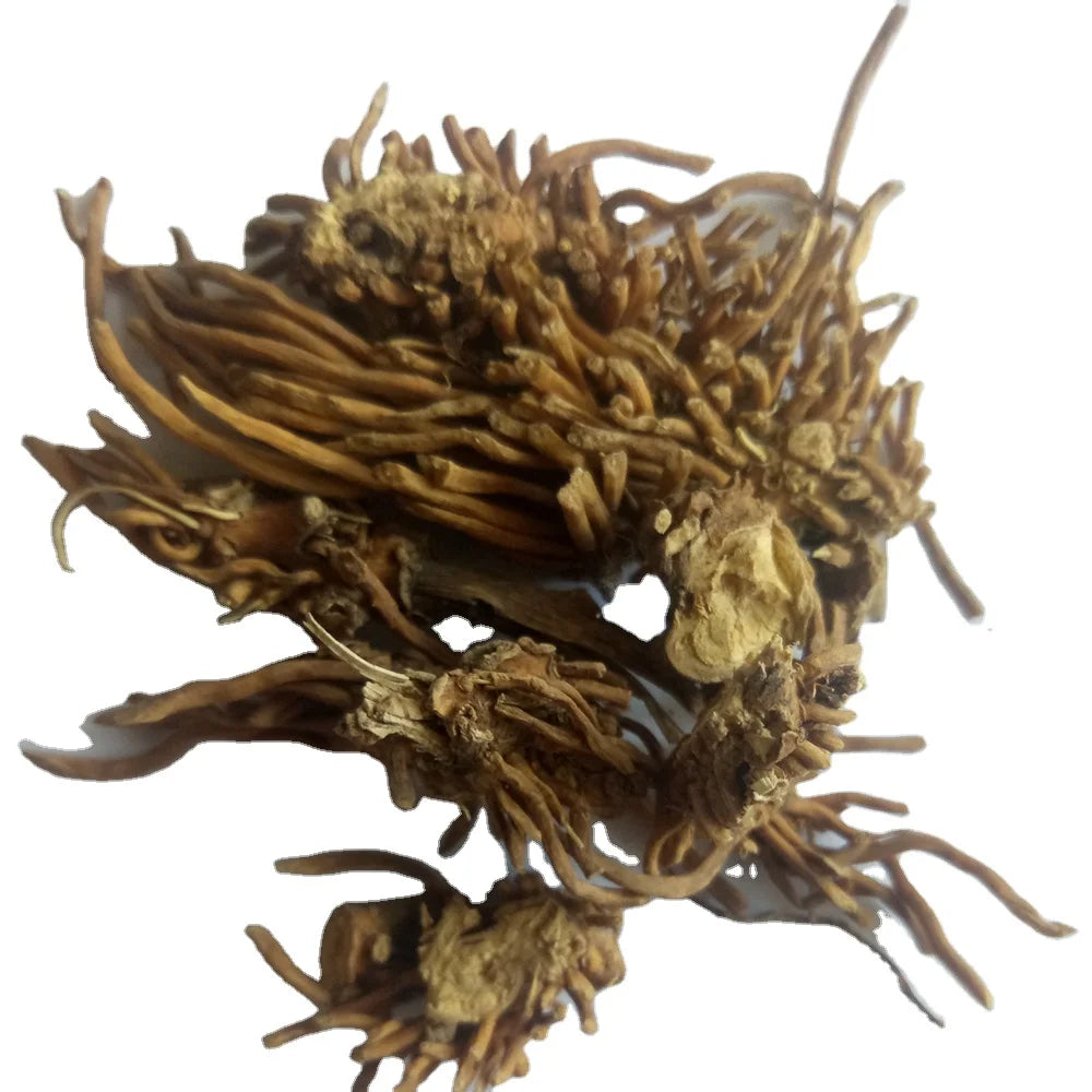 Baiwei Wild Organic Chinese Herb RADIX CYNANCHI ATRATI Dried Cynanchum Atratum Root Segments for Herb
