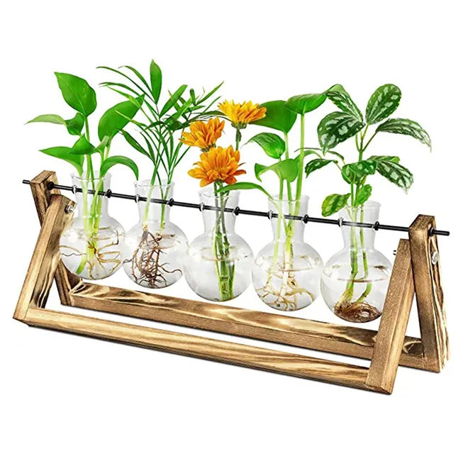 New Home Garden Desktop Propagation Station Bud Glass Planter with Wooden Stand Cylinder Terrarium Air Planter Bulb Vase