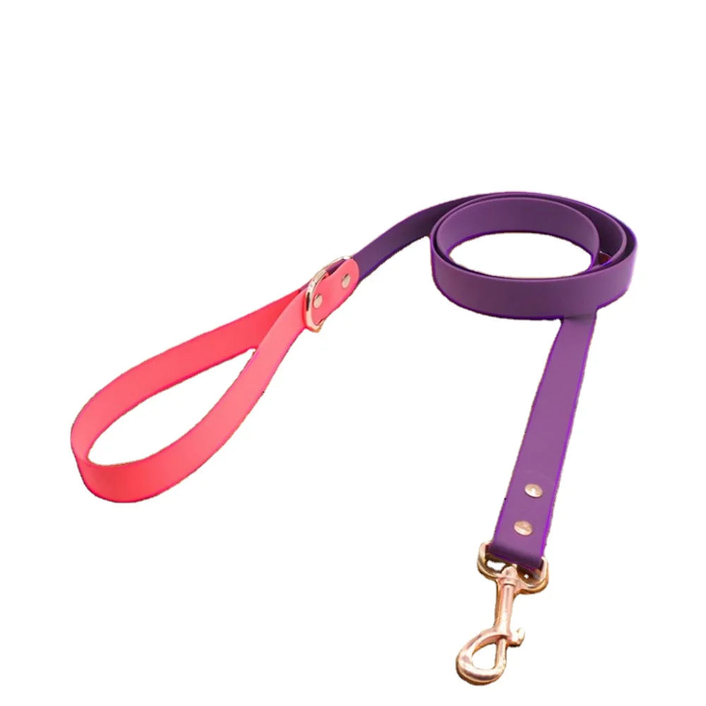 Luxury Gold Pet Collar Leash Heavy-Duty Waterproof Nylon Webbing PVC Easy Clean Eco-Friendly Dog Walking Lead Printed Pattern