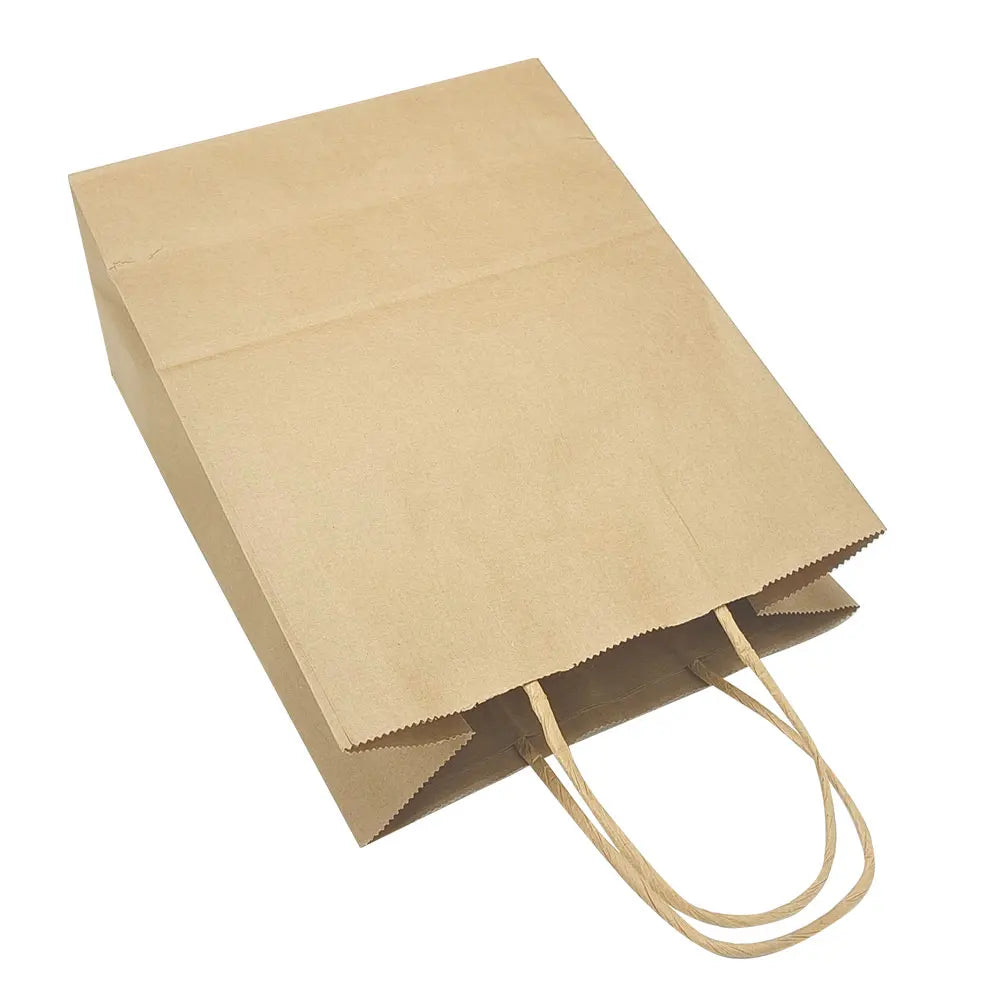 Brown Kraft Paper Twisted Handle Recyclable Customizable Shopping & Craft Bags