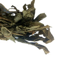 Wholesale Natural Whole Dried Tall Twayblade Wild Herb Liparis Nervosa Plants for Sale