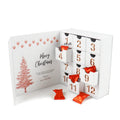 Oem Good Price Wholesale Custom Wedding Surprise Gift Jewellery Ring 12 Days Advent Calendar Packaging Gift Boxes for Christmas