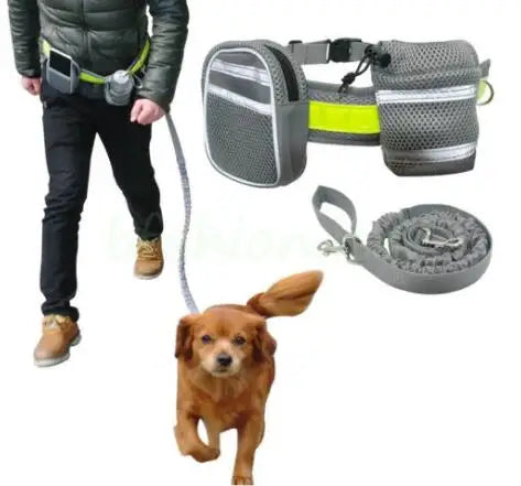 Solid Pattern Fiber Dog Training Collar Breakaway Quick Release Lights Handsfree Jogging Pouch Bag Pet Food Treat for Small Pets