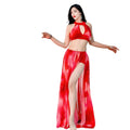 Sexy Backless Dreamy Rose Pattern Split Skirt with Shorts Costumes Set for Oriental Belly Dance Performance Set