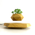 Magnetic Levitating Bonsai Plant Pot Electric Powered Home & Garden Creative Gift HCNT Levitation Technology