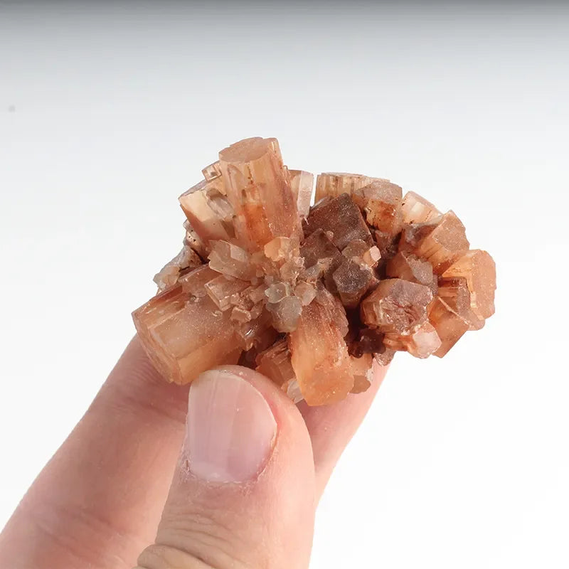 Hot Sell Natural Crystals Nepheline Mineral Specimen Aragonite Brown for Home Decoration