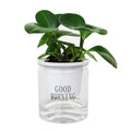 High-quality Cylindrical Planting Containers with Transparent Outer Pots Cotton Ropes Hydroponic Self-watering Plastic Lazy Pots