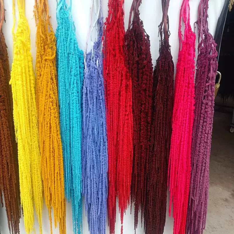 Christmas Decorative Flower Preserved Amaranth Flowers Dried Plant Eternal Hang Amaranthus Flower for Wedding Decoration
