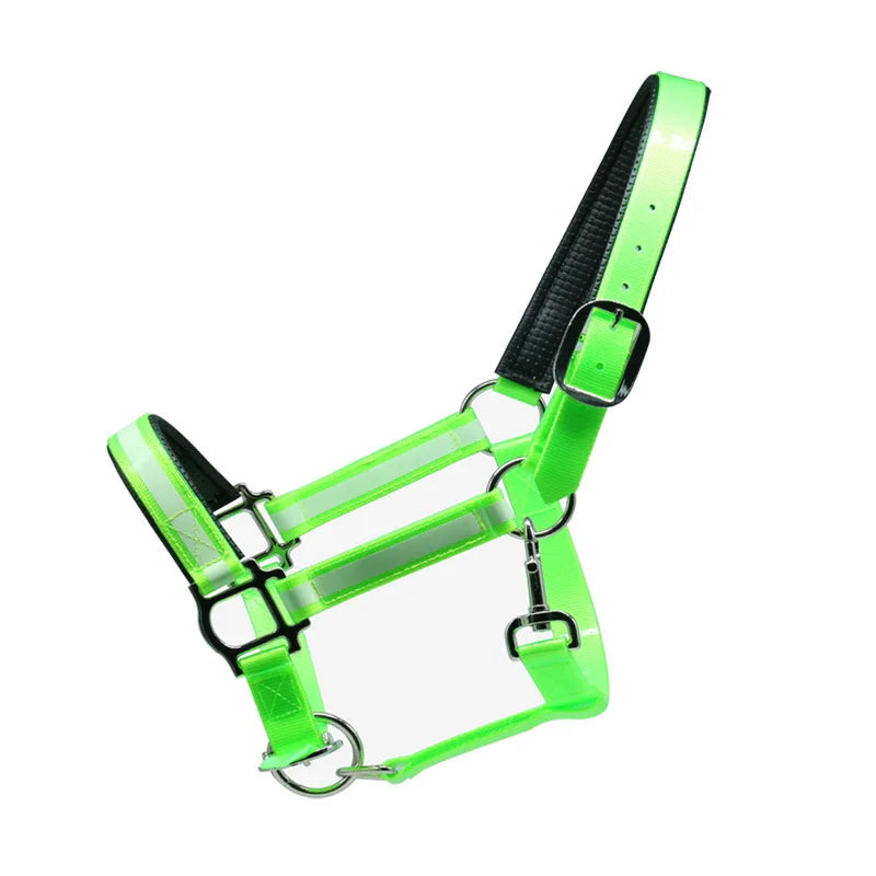 2024 Wholesale Cheap Top Quality Horse Jumping Bridle Hot Sale Waterproof PVC Material Horse Headstall Halter