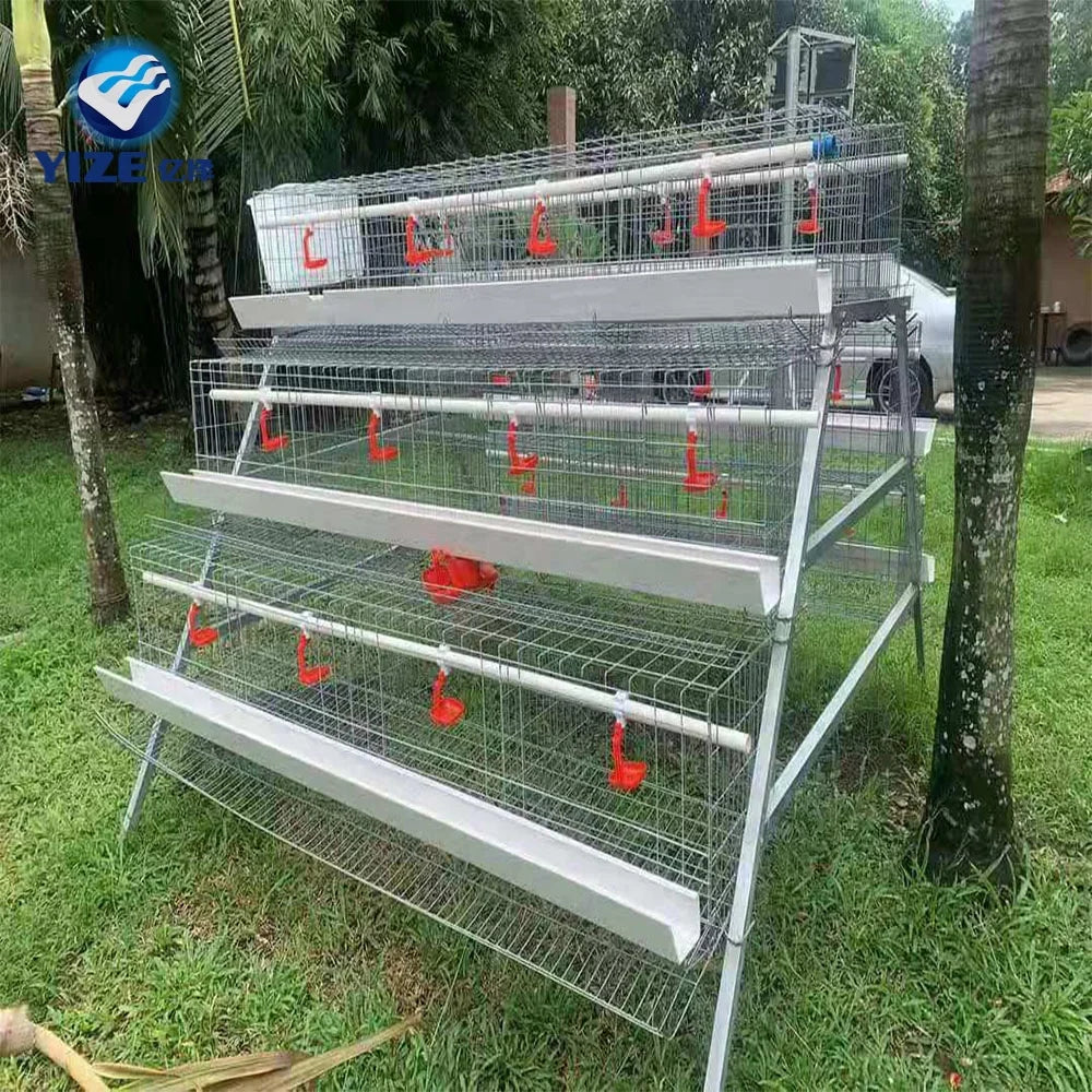 Design Modern Poultry Farm House Automatic Galvanized Battery Chicken Cages for Sale Russia Philippines Thailand Peru