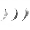 Anime Lash 0.07mm C D Curl 8-15mm Premade Anime Chunk Lashes Spire Comic Eyelash Tray Private Label Eyelash Extension