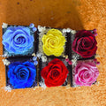 AYOYOYO Luxury Eternal Rose & Flower Moss Bear Jewelry Box with Letterpress Printing Valentine's Day Gift 2026