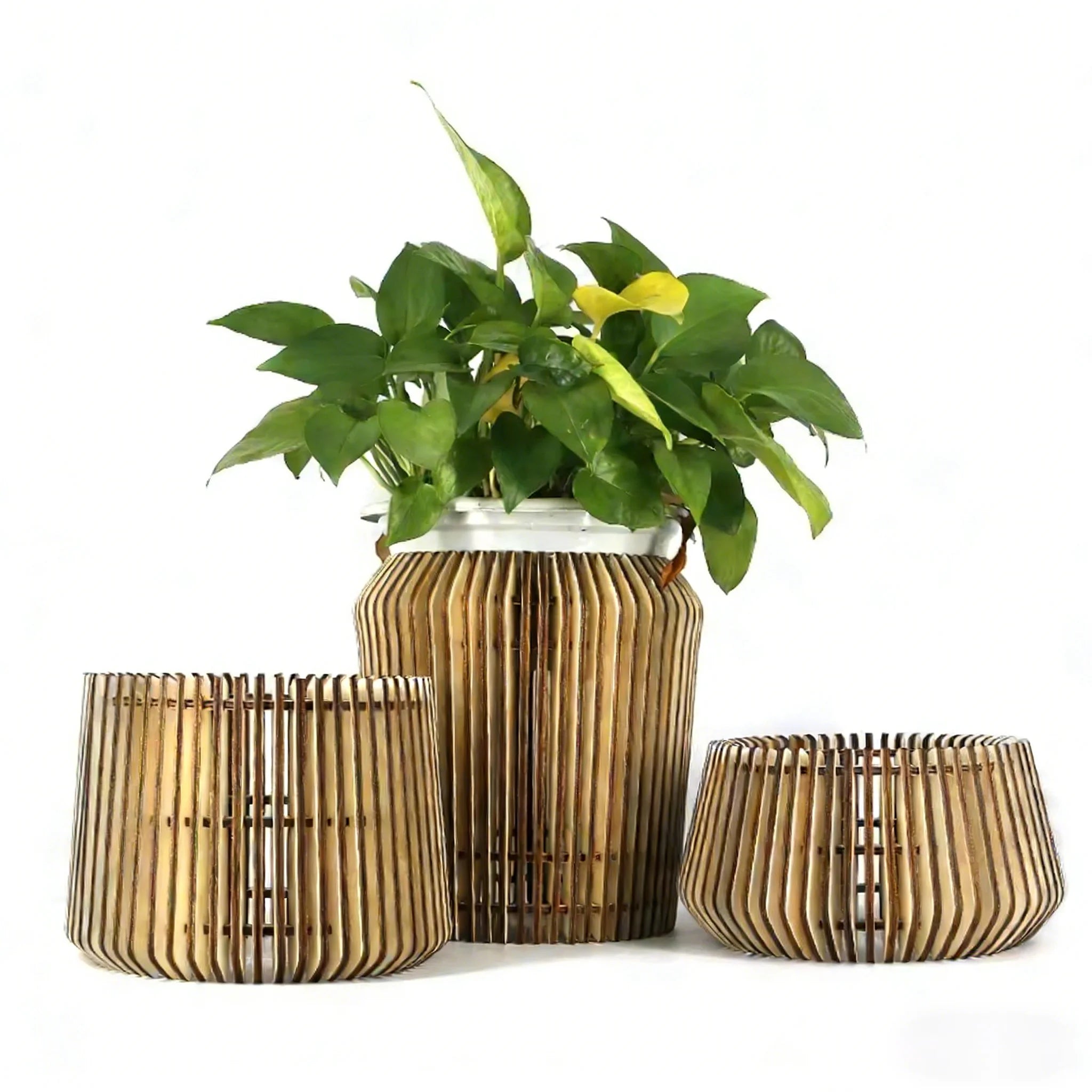 Tailai Creative Container Wooden Art Craft Frame Vase for Propagating Hydroponic Plants Home Garden Wedding Decoration