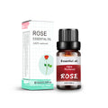 Wholesale Rose Essential Oil 10ML for Diffuser - 100 Pure Natural Plant Extract Aromatherapy Oil Therapeutic Grade | OEM