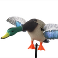 Xilei Speed Control Lifelike Duck Motion Decoy for Hunting Birds PE Material Guangdong with Japan Motor From China Supplier