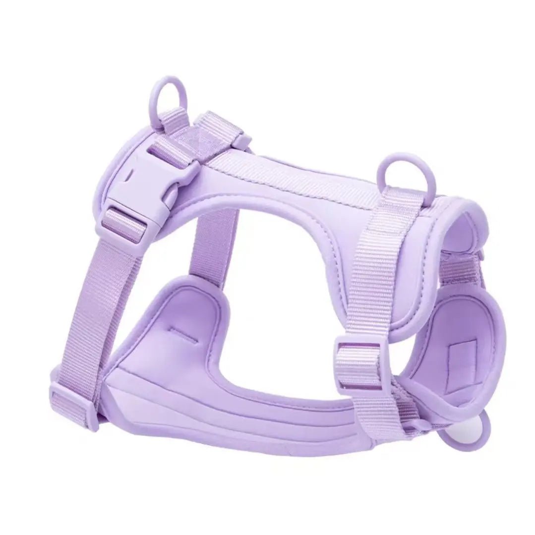 Custom Color/Size Soft Air Cotton Padded Dog HarnessComfortable Pet Safety VestDurable Adjustable for All Breeds Wholesale