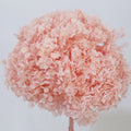 Light pink Dried Hydrangea Eternal Flower Hortensias Preservadas Ortensia Stabilizzata for Wedding Home Table Decoration Bulk