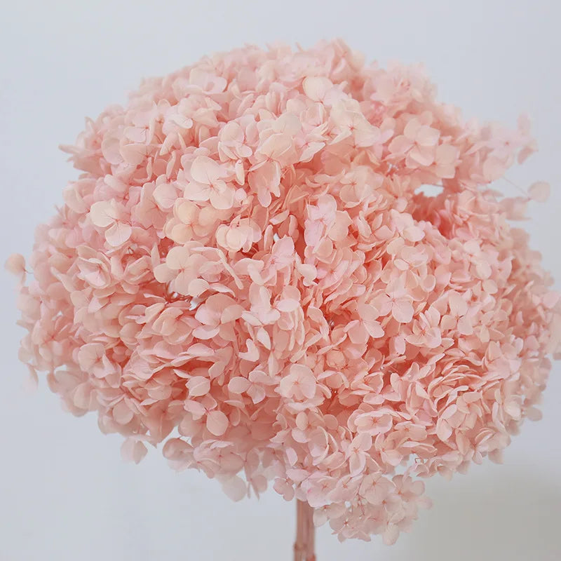 Light pink Dried Hydrangea Eternal Flower Hortensias Preservadas Ortensia Stabilizzata for Wedding Home Table Decoration Bulk