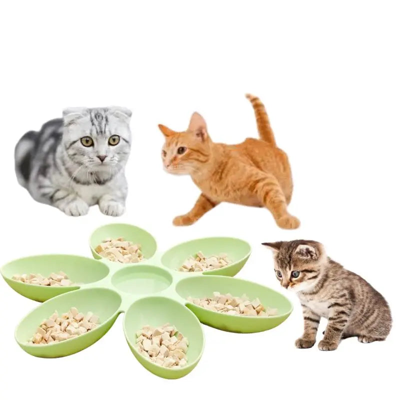 Perfect Solution for Multi-Cat Households Shared Cat Food Bowl: the Shared ForCat  Bowl