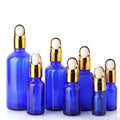High Quality Essential Oil Dropper Bottle 50ml 100ml 120ml 30g 50g with Pump Cap for Skin Care Cream Beauty Makeup