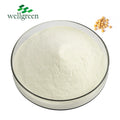 Wellgreen Food Grade Nutritional Supplements Yellow Powder Soybean Soy Soya Lecithin