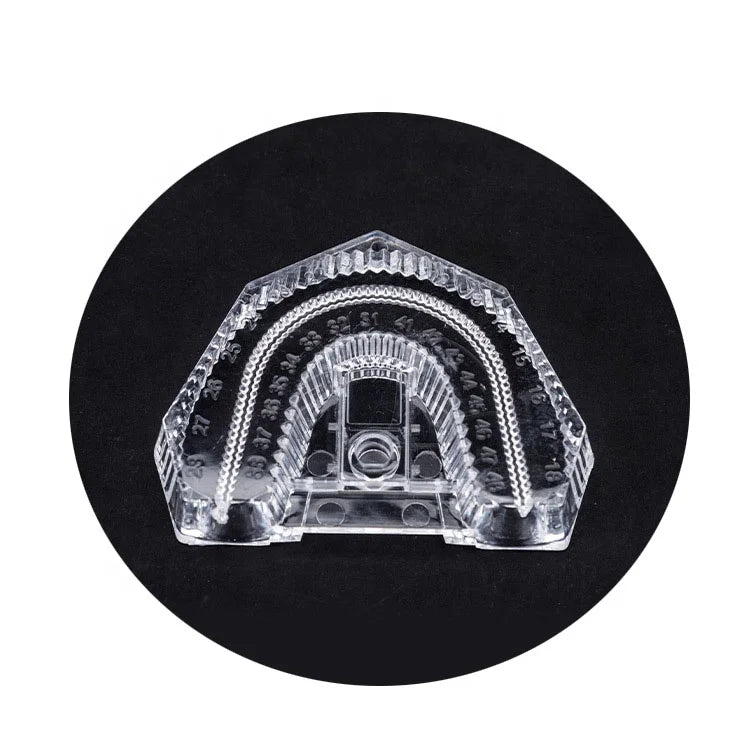 Disposable Plastic Dental Mold Base Denture Tray Transparent Sectioned Base Box