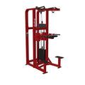 Best Gym Equipment Commercial Fitness Pin Loaded Assisted Dip Chin up Machine for Sale Heavy Duty Indoor Assist Dip Chin