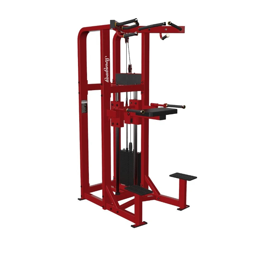 Best Gym Equipment Commercial Fitness Pin Loaded Assisted Dip Chin up Machine for Sale Heavy Duty Indoor Assist Dip Chin