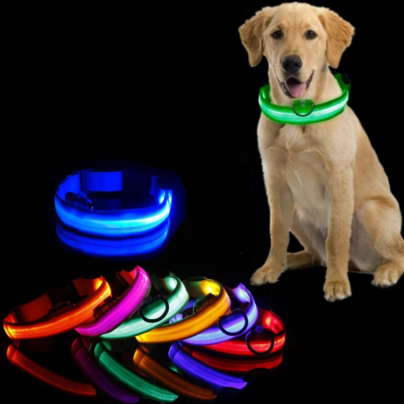 LED Glowing Dog Collar Adjustable Flashing Recharge Luminous Collar Night Anti-Lost Dog Light HarnessFor Small Dog Pet Products