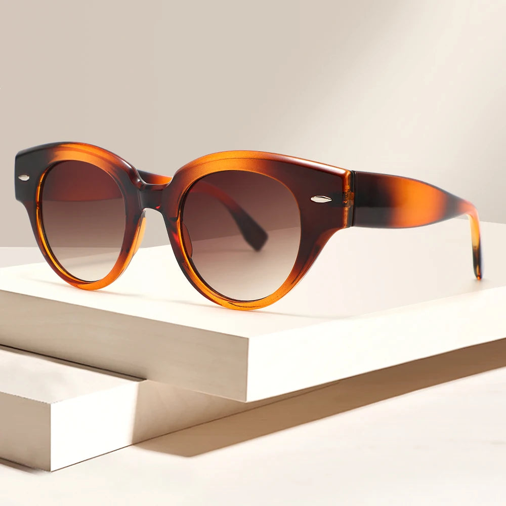 2024 Trendy Brown Plastic Tortoise Frame Sunglasses UV400 Sun Glasses with Custom Logo for Women and Men