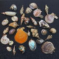 New Fashion 3D Sea Snail Pendant Natural Shell Aquarium Decor Single Hole Electroplated DIY Shell Necklace Jewelry Wholesale