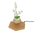 Magnetic Spining Air Plants Bonsai Magical Levitation Plant  Floating Flower Pots for Decoration Gift Display Racks