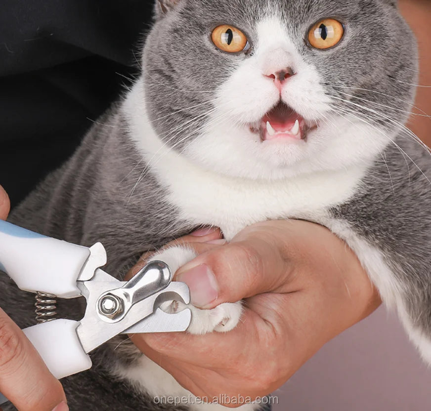 Stainless Steel Nail Clipper Cutter for Small Animals Pet Paw Grooming Tool with ABS PP Cleaning Feature Dog Cat Scissors Combs