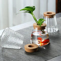 Modern Luxury Crystal Home Decor Tabletop Moss Terrarium Vase Clear Empty Micro Landscape Glass Terrarium with Cork Lid