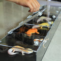 Custom Acrylic Reptile Cage with Gecko Snake Reptile Expo Show Display Cases with Lock Pet Cages Houses Product Reptile Supplies