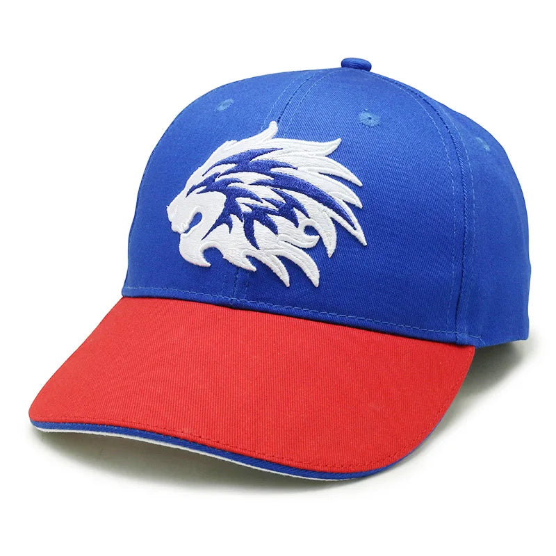Two Tone Cotton Baseball Cap Custom Embroidery Logo Baseball Mens Hat