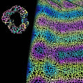 Leopard Stone Pattern Print Iridescent Reflective Polyester Spandex Stretch Yoga Clothing Fabric for Fitness Sports Headbands