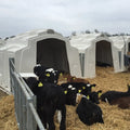 High Quality Calf Hutch Farm Equipment Cheap Plastic Diary Cow Comfortable Livestock House With Fence