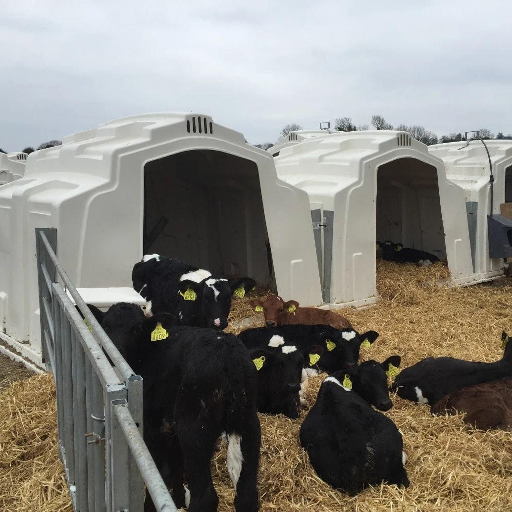 High Quality Calf Hutch Farm Equipment Cheap Plastic Diary Cow Comfortable Livestock House With Fence