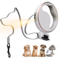 New Arrival LED Light-Up Dog Collar and Leash Set with Poop Bag Dispenser USB Rechargeable Plastic Material