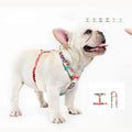 2023 Custom Cute Nylon Sublimation Easy Walk H Dog Harness and Leash Set Hot Sale Pet Harnesses