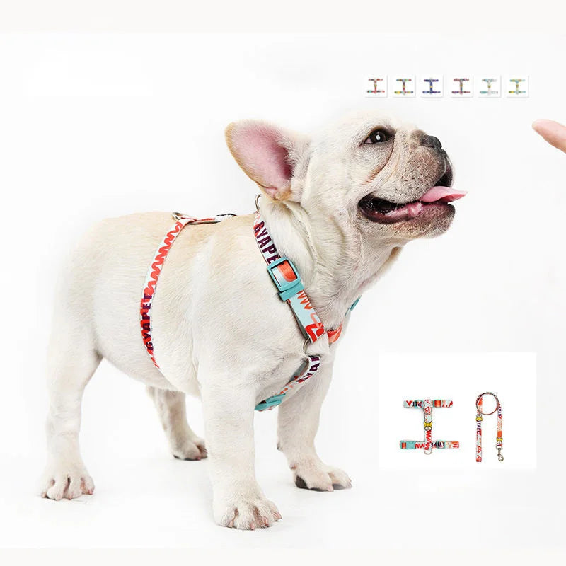 2023 Custom Cute Nylon Sublimation Easy Walk H Dog Harness and Leash Set Hot Sale Pet Harnesses